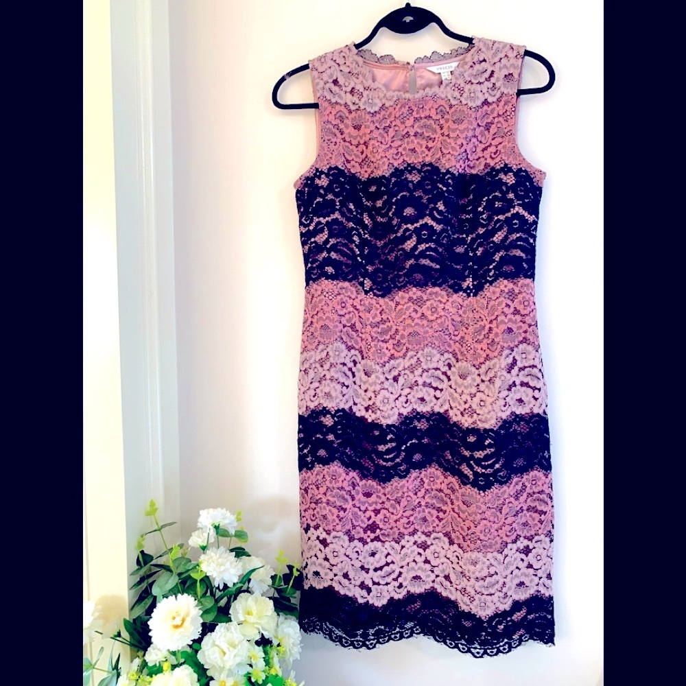 Précis Rose and Black Lace Dress (size 8)